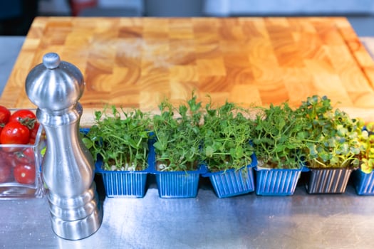 Fresh herbs and cherry tomatoes arranged on a kitchen countertop with wooden cutting board background photo