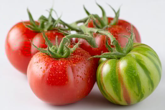 Fresh red and green tomatoes with water droplets on white background photo