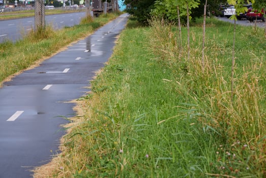 An Urban Pathway Surrounded by Lush Green Grass with a Wet Surface for Walking and Biking photo