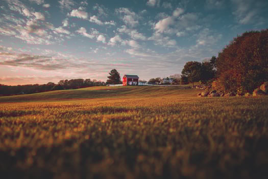 A red barn sits in the middle of a field photo