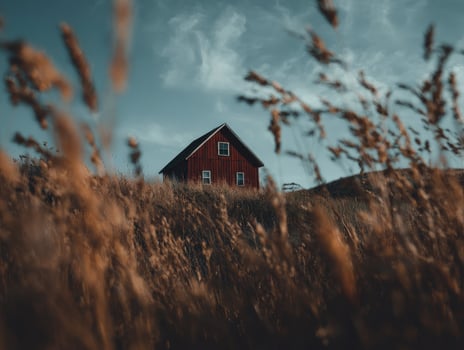 A red house in the middle of tall grass photo