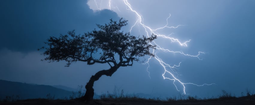 The majestic tree illuminated by lightning in a dramatic stormy sky. photo