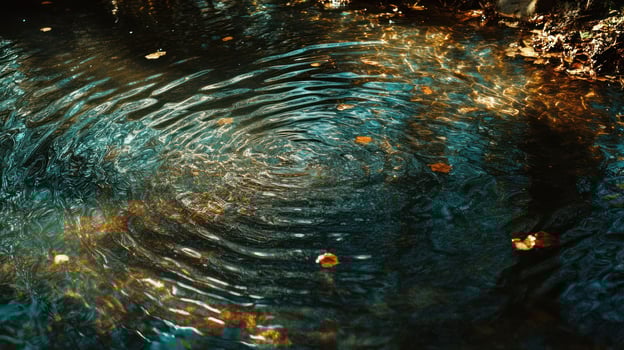 Ripples in dark water with autumn leaves photo