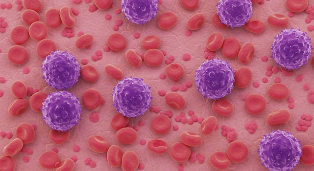 Blood cells Red and white cells illustration of healthy human hematology use photo