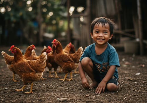 A young boy is sitting on the ground with chickens photo