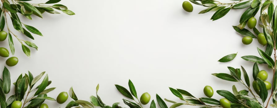 The Olive Branches Framing a Clean White Surface for Culinary Use photo