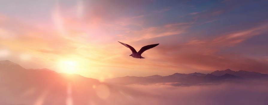 The soaring bird against a stunning sunrise over the mountains. photo