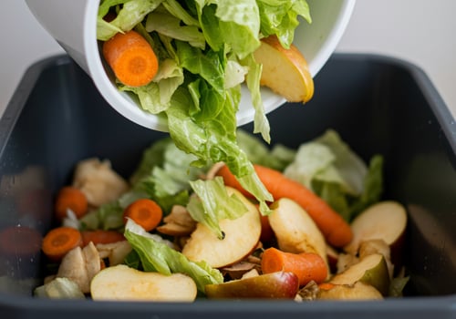 A white bowl with a salad in it photo
