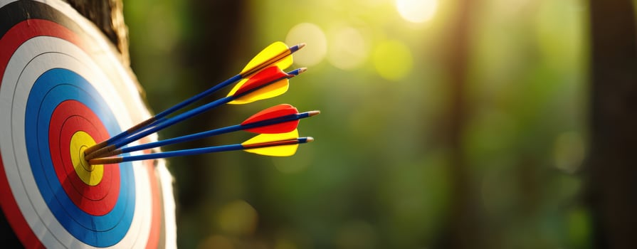 The target featuring arrows indicating skillful archery in a sunlit forest setting photo