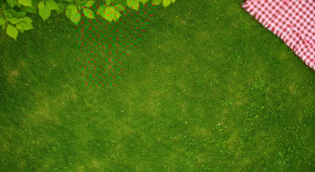 Lush Green Grass Picnic Setting with Red Gingham Blanket photo