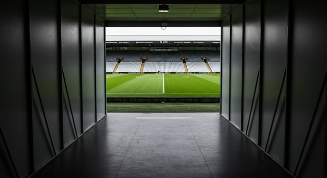 A view of a soccer field from inside a stadium photo