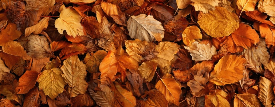 The vibrant autumn leaves creating a colorful natural carpet on the ground. photo