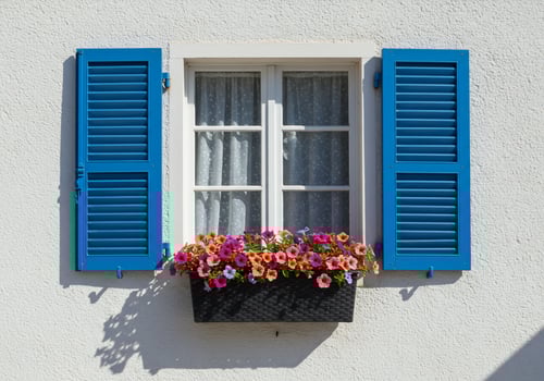 Window with blue shutters and flower box in sunshine on white textured wall photo