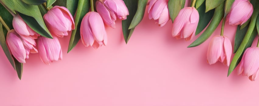 The beautiful arrangement of pink tulips against a soft pink background photo