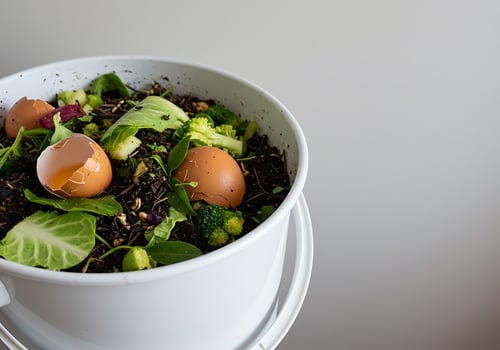 A white bucket with a bowl of food photo
