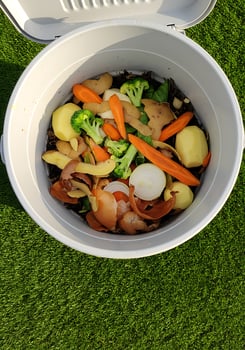 A white trash can with vegetables and potatoes in it photo