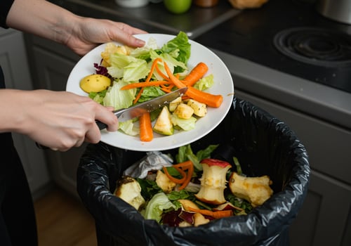 A person is holding a plate of food in a trash can photo