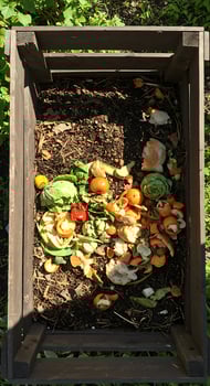 A compost bin with vegetables and other items photo