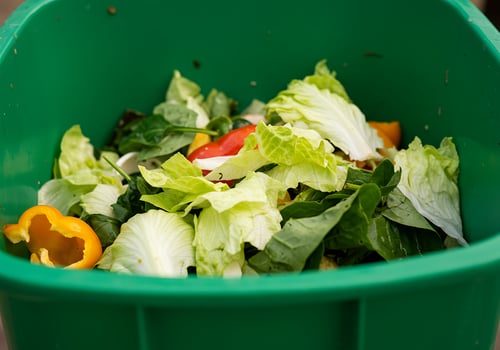 A green container with a pile of lettuce and peppers photo