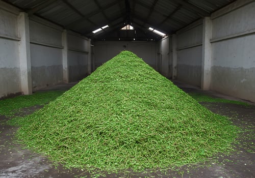 A pile of grass in a building photo