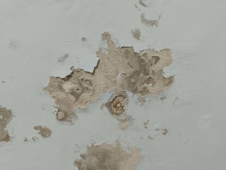 Damaged Wall Paint Peeling Off Due to Moisture and Water Leaks in Old Building photo
