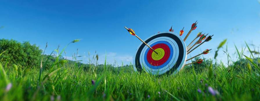 The archery target standing proudly in a lush green field under a blue sky. photo