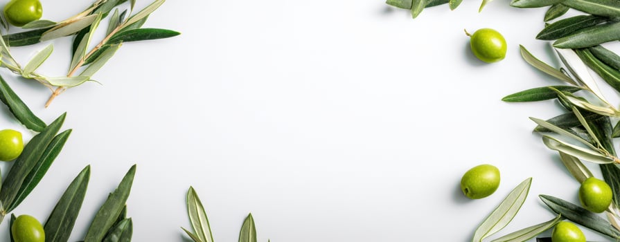 The Olive Leaves and Fruit Create a Fresh and Natural Framed Background photo
