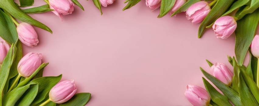 The delicate arrangement of pink tulips on a soft pastel background photo