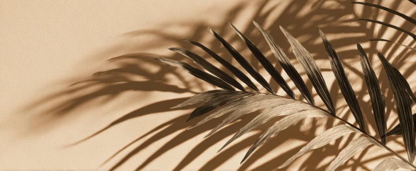 The elegant palm leaf casting beautiful shadows on a textured background. photo