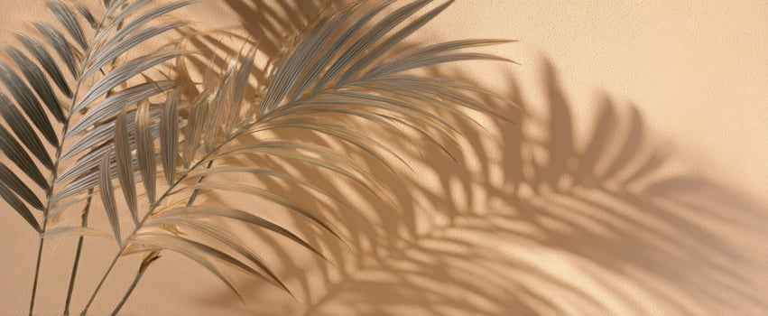 The Elegant Palm Leaves Casting Shadows on a Warm Wall Background photo