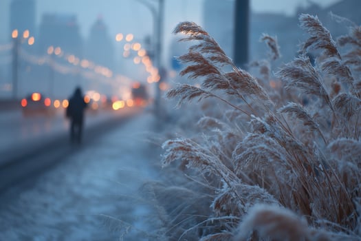 A person walking down the street in the fog photo