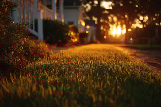A grassy lawn is seen in the sunset photo