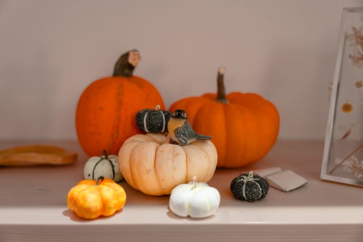 Pumpkin and bird autumn still life with orange, white and green gourds on wooden surface photo