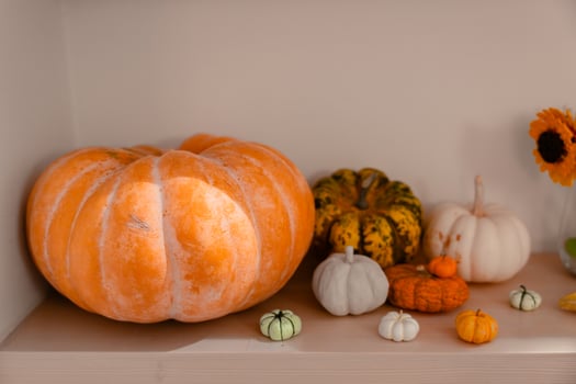 Colorful autumn pumpkins on shelf with soft light and cozy seasonal atmosphere photo