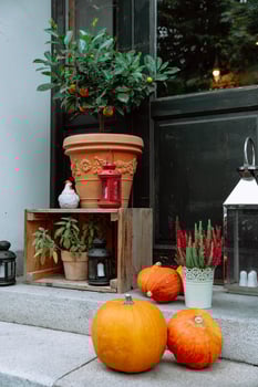 Decorative autumn still life with potted citrus tree, pumpkins and lanterns in front of dark door. photo