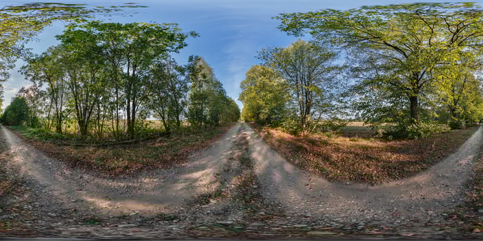 A 360 - view of a dirt road in the middle of a field photo