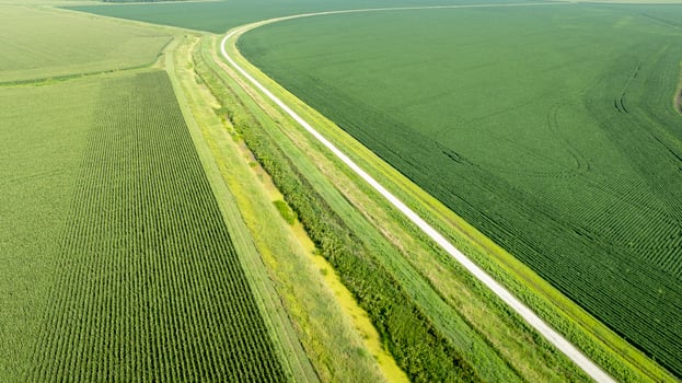Steamboat Trace, bike trail converted from aabandoned railroad, running through Nebraska farmland near Peru, summer aerial view with green corn fields photo