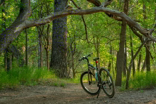 invitation to biking - a hybrid bike with kickstand, frame bag and cycling computer on a forest trail summer scenery photo