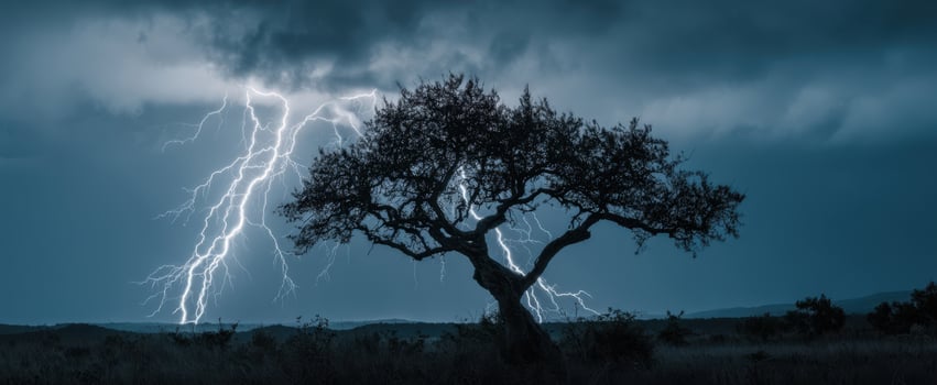 The striking contrast of a solitary tree against a stormy lightning sky. photo