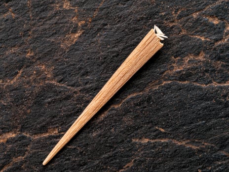 Rustic wooden toothpick rests on textured dark stone photo