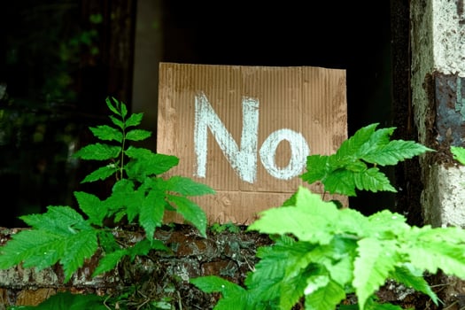Weathered cardboard sign with the word 'No' among foliage photo
