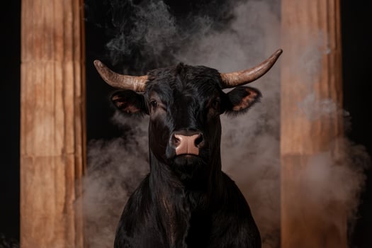 Majestic black bull with imposing horns in smoky setting photo