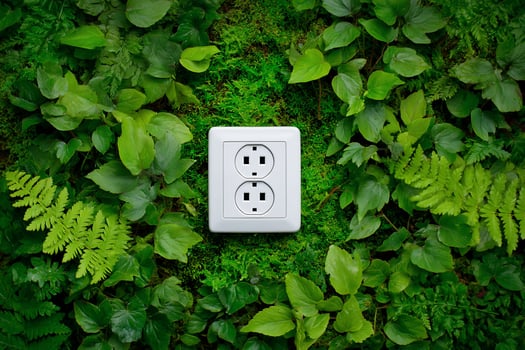 A power outlet surrounded by greenery, suggesting renewable energy and nature photo