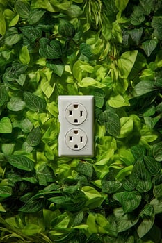 A white electrical outlet surrounded by green leaves photo