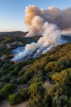 An aerial view shows a wildfire burning across a heavily wooded landscape photo