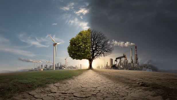 Clean vs Dirty side The tree of life with clear skies and smoggy industrial scene photo