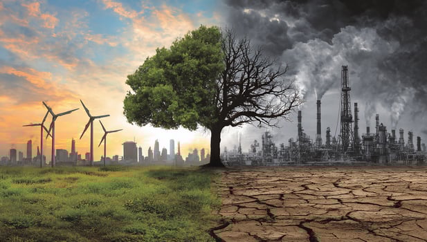 Contrast of nature's beauty vs. pollution, showing a tree half green, half dead photo