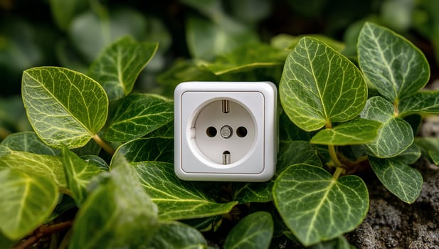 Electrical outlet surrounded by greenery, contrasting energy and nature photo