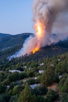 Forest fire ascends hillside, smoke plumes behind a town nestled below the trees photo