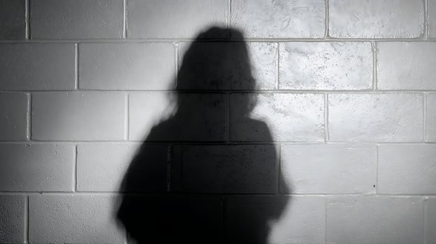 A solitary figure's shadow casts a stark silhouette on a textured wall. photo